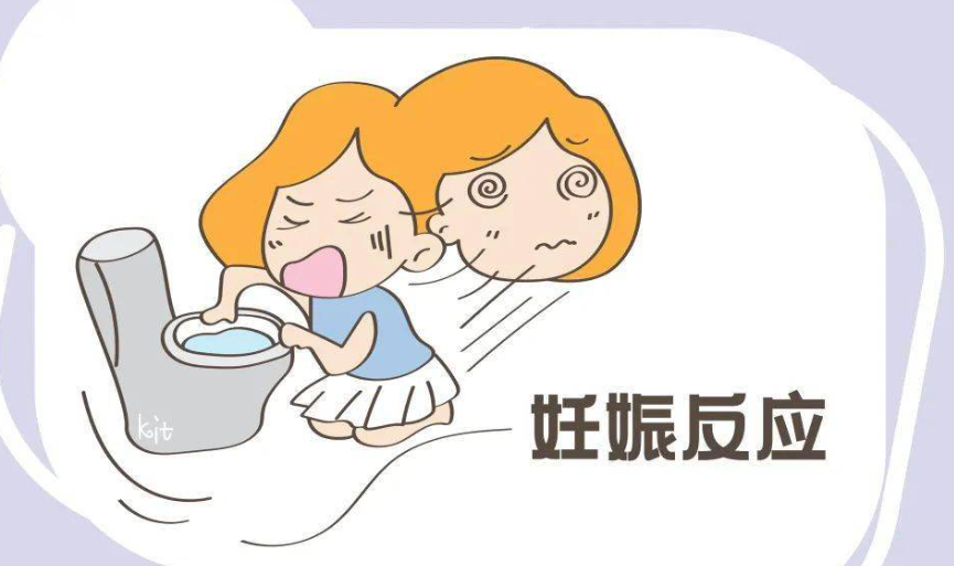 妊娠反应大可能怀的是孩子