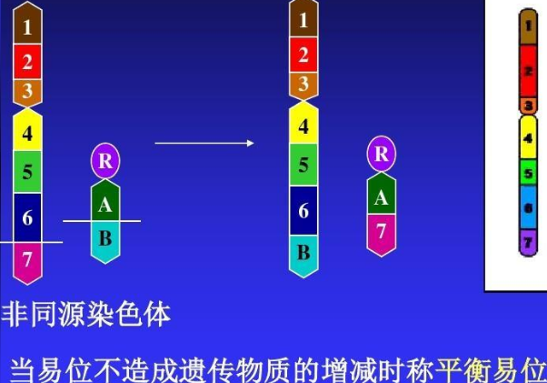 精子K的精子可以提高受孕率