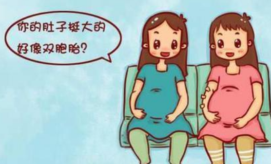 双胎妊娠分泌的HCG更多