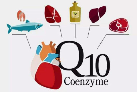 关于辅酶Q10,你至少需要知道这3点!