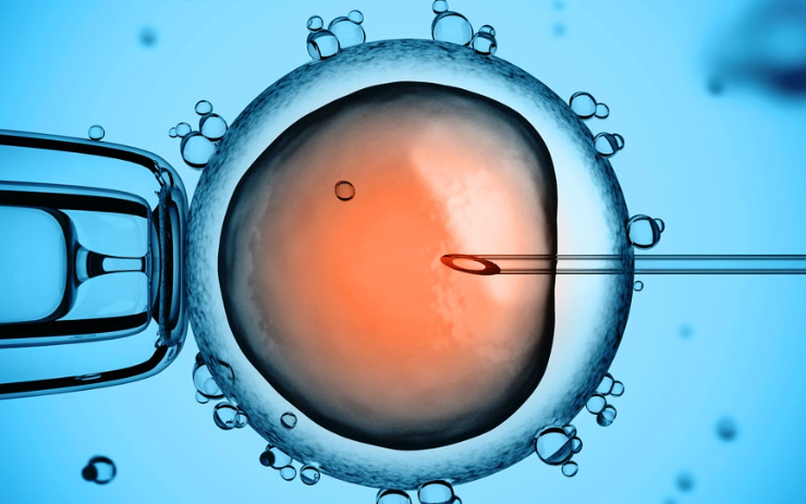 试管费用受到多种因素影响