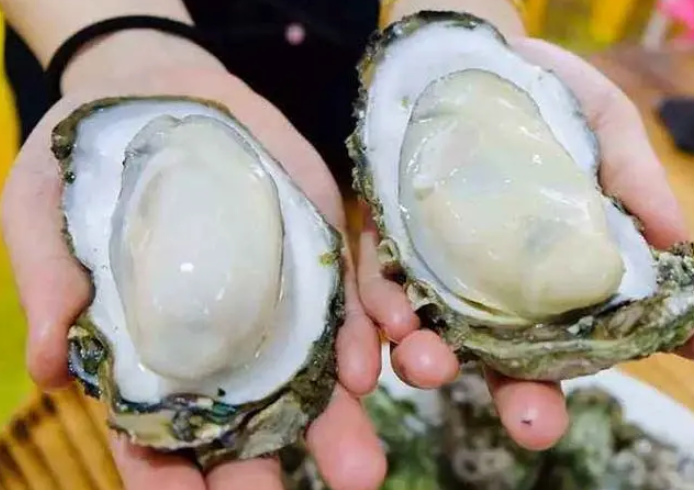备孕吃生蚝多久助孕？备孕吃生蚝是否能够助孕？