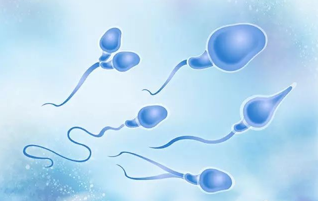 备孕可挂男科门诊