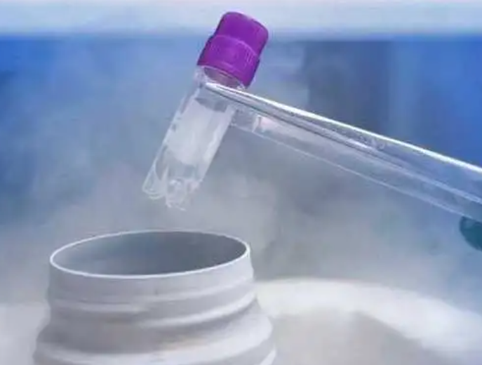 泰国精子试管都是泰国人的精子吗？