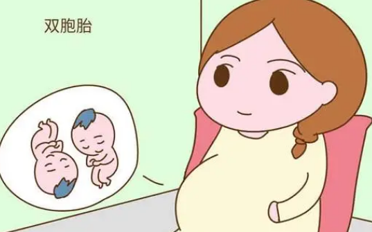 双*胎妊娠会增加子宫张力