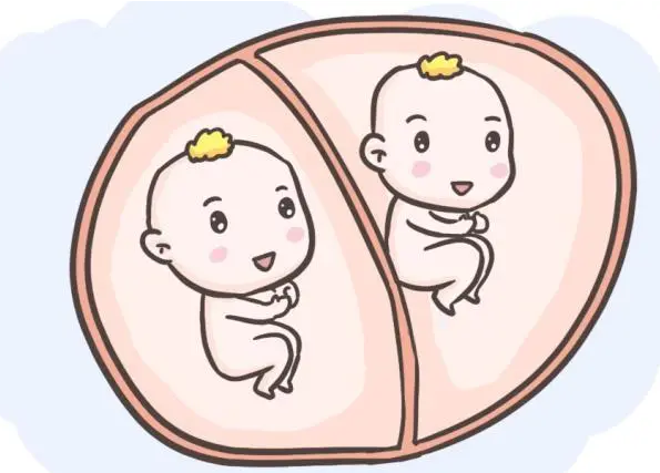 备孕想生双*胎有4种促排方法，分别是什么？