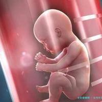 女性怀孕年龄是多少岁？