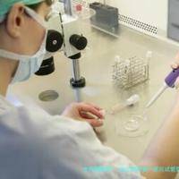 哈尔滨市第一医院试管婴儿技术好吗？哈尔滨市第一医院做试管需要花多少钱？
