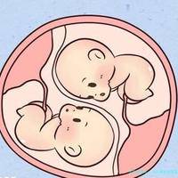 深入解析试管婴儿自然周期的全过程与注意事项