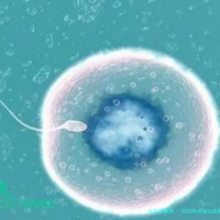 2025年在保山安利医院做试管婴儿生孩孩可以吗？有什么要求