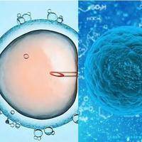 2025年在宁海县妇幼保健院想通过试管生个孩子多少钱？吗？