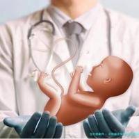 沈阳盛京医院好的试管医生有哪些？葫芦岛做试管婴儿需要多少钱？