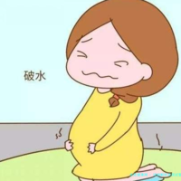 详细解析美国试管婴儿价格表及影响因素
