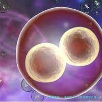 扬州做一个三代试管婴儿做一次大约多少钱