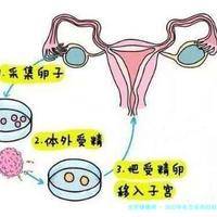 下一篇