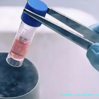 陕西省做试管婴儿怎么样？推荐这几家试管医院