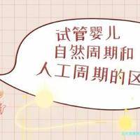 做试管：卵泡数量为何少于平常（2024）？