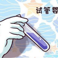 本人没结婚证想做试管怎么办！没结婚证试管婴儿特殊渠道！