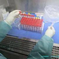 2025年自贡单身女人试管多少钱？（附单身试管条件）