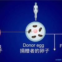 专属揭秘：泰国CEF三代试管价格公开，附三代试管费用明细情况