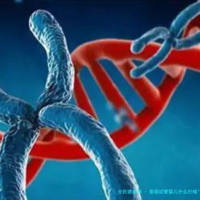 泰国试管婴儿什么价格"宣布"试管婴儿流程和费用咋样的？