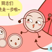 以国内供-精试管家庭需求为中心的探讨：单身女性能否申请供-精服务？