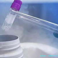 试管囊胚移植当天抽血检查孕酮达到54nmol/L是正常的吗！移植囊胚当天孕酮多少达标！