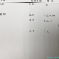 上一篇