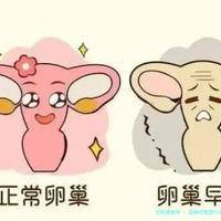 淄博试管婴儿的费用和医院评价？成功率高的选择有哪些？