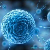 试管促排后取卵15个会影响卵巢内的基础卵泡吗？