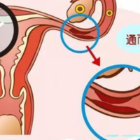 2025吉安市妇幼医院试管婴儿成功率一览-吉安市妇保做试管婴儿怎么样！