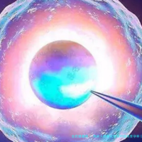 高龄人群做试管如何提高受孕率(高龄做试管如何提高着床)