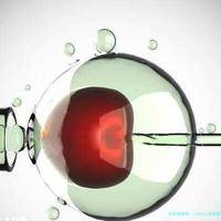 2025江西省最新男性陪产假有多少天?试管婴儿可以增加产假吗？