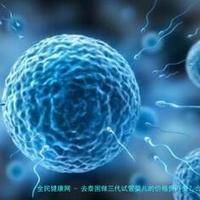 去泰国做三代试管婴儿的价格贵不贵？合理吗？