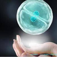 兰大二院做精子试管婴儿的价格可以报销吗