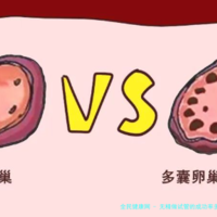 无精做试管的成功率多少-无精能做试管婴儿吗！