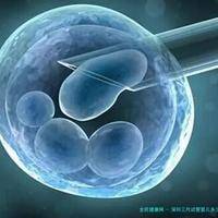 深圳三代试管婴儿多少钱？最全费用结构与治疗过程解析！