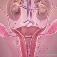 武汉三代试管婴儿费用构成明细揭秘：主要支付哪些项目？