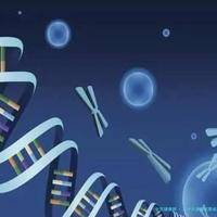 二十六岁做试管成功率_二十几岁试管婴儿成功率多少！