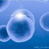 2025河北试管婴儿选择指南：河北大学附院 VS 保定妇幼