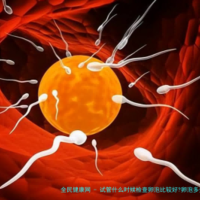 试管什么时候检查卵泡比建议?卵泡多少个为正常范围内?