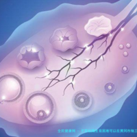 子宫纵隔生育困难可以在黄冈市做三代试管吗？子宫有问题做试管的成功率高吗？