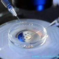 为什么试管婴儿不能保证成功？大多数第二代试管婴儿都是孩子吗？