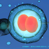 重庆私立试管婴儿医院大全，2025热门助孕机构排名一览