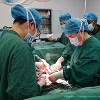 子宫纵隔生育困难可以在新市区做三代试管吗？子宫有问题做试管的成功率高吗？