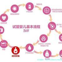 临汾三代试管助孕公司真实成功率,临汾人民医院做试管婴儿怎么样！