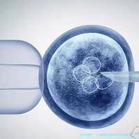 子宫纵隔生育困难可以在临夏市做三代试管吗？子宫有问题做试管的成功率高吗？