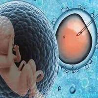 子宫纵隔生育困难可以在东阳市做三代试管吗？子宫有问题做试管的成功率高吗？