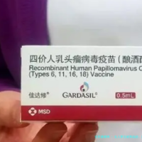 女人梦见被狗追赶：压力预警还是情感投射？——基于社会调查的梦境解析