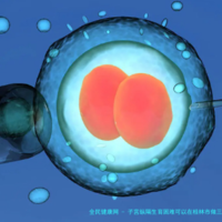 子宫纵隔生育困难可以在桂林市做三代试管吗？子宫有问题做试管的成功率高吗？